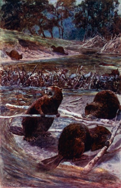 "Dere boyunca bir baraj inşa ediyorlar" (renkli taş) by William Henry Charles Groome