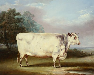 Ödül İnek, 1838 by William Henry Davis
