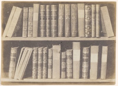 Kitaplıkta Bir Sahne, Doğa Kaleminden VIII. levha by William Henry Fox Talbot