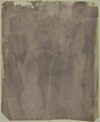  by William Henry Fox Talbot