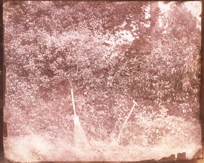 Süpürge ve Maça, 1842 by William Henry Fox Talbot
