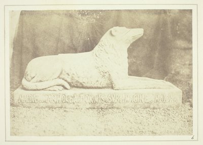  by William Henry Fox Talbot