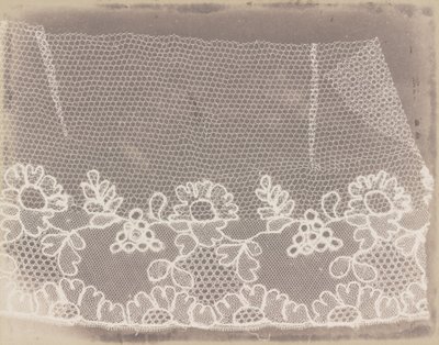 Dantel by William Henry Fox Talbot