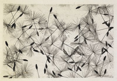Talbot fotoğraf 24 1730 by William Henry Fox Talbot