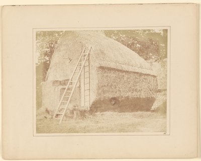 Saman Yığını by William Henry Fox Talbot