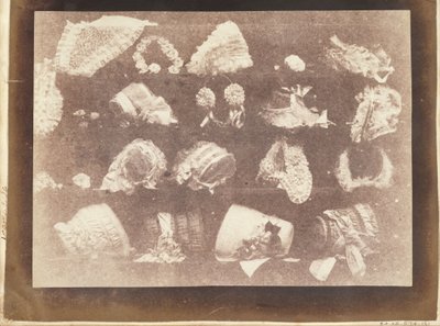 değirmencinin penceresi by William Henry Fox Talbot