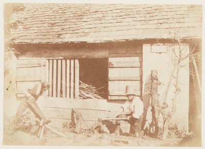 Oduncular by William Henry Fox Talbot
