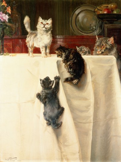 kediler by William Henry Hamilton Trood