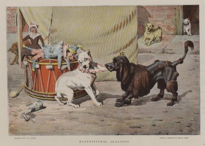 Profesyonel Kıskançlık by William Henry Hamilton Trood