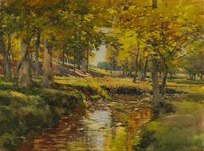 Meadow Edge