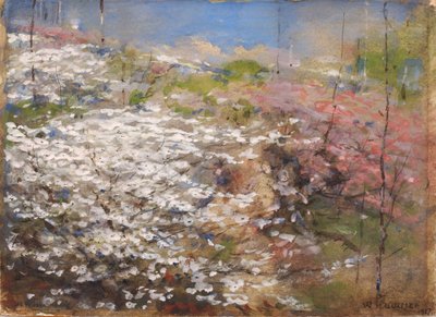 Çiçekler Tarlası, 1927. by William Henry Holmes