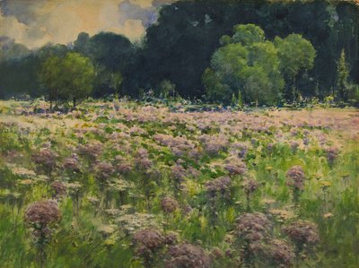  by William Henry Holmes