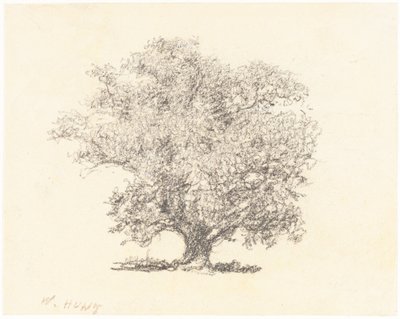 Tam Yapraklı Bir Ağaç by William Henry Hunt
