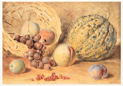Kavun, şeftali, üzüm ve erik içeren sepet, c.1804 (grafit, biraz arap zamkı eklenmiş sulu boya, gövde rengi ve dokuma kağıt üzerine karalama) by William Henry Hunt