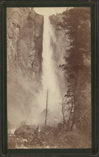  by William Henry Jackson