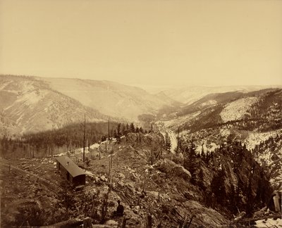 Los Pinos Vadisi, Doğuya Bakış by William Henry Jackson