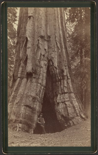 Smiths Kulübesi by William Henry Jackson