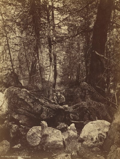 Batı Gallatin Cañon