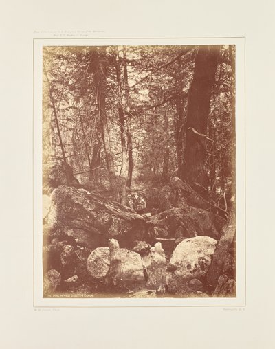  by William Henry Jackson