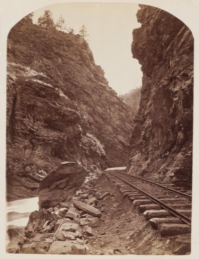 Rockies