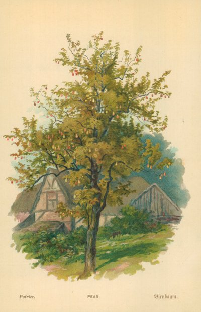 Armut by William Henry James Boot