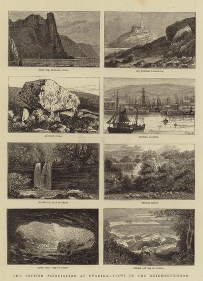 The British Association at Swansea, Mahalleden Görüşler by William Henry James Boot