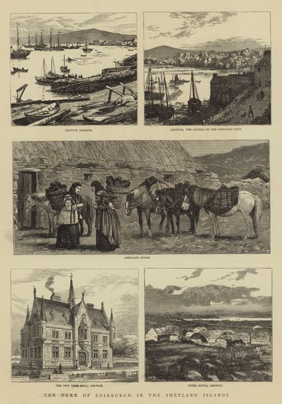 The Duke of Edinburgh in the Shetland Islands  by William Henry James Boot