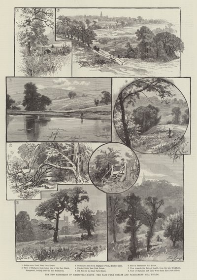 Hampstead-Heath