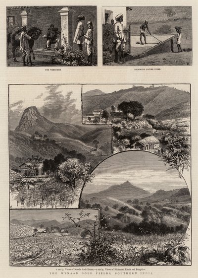 Wynaad Altın Tarlaları, Güney Hindistan by William Henry James Boot