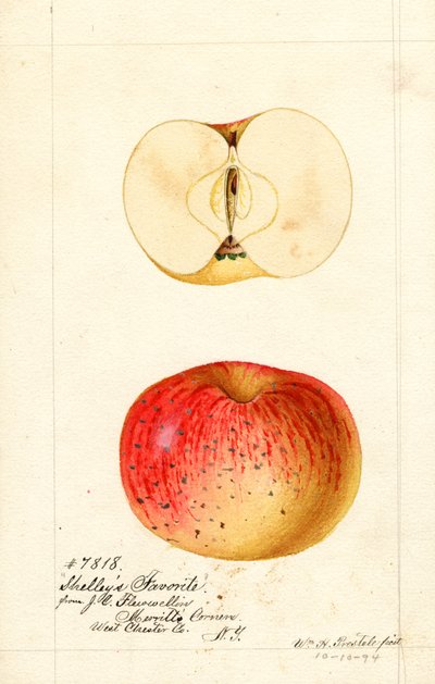  by William Henry Prestele