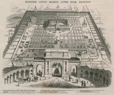 Islington Sığır Pazarı, Lower Road, Islington, Londra by William Henry Prior