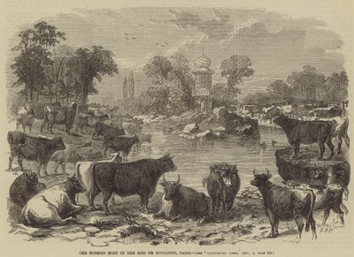 Bois de Boulogne, Paris