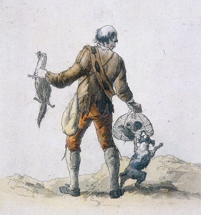 Bir fare avcısı, Taşra Karakterleri, 1804 by William Henry Pyne