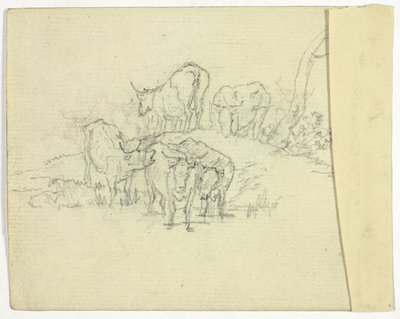 Sığır (rekto); Şarlatan (karşı) by William Henry Pyne