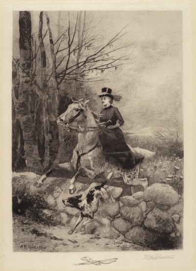 Köpeklerden Sonra by William Henry Shelton