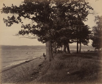  by William Herman Rau