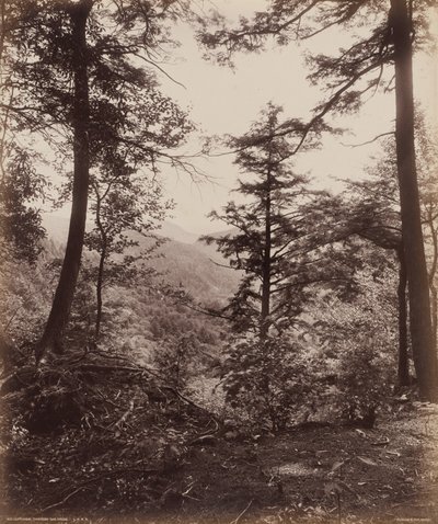  by William Herman Rau