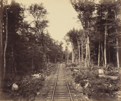  by William Herman Rau