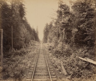  by William Herman Rau