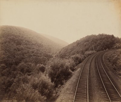  by William Herman Rau