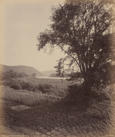  by William Herman Rau