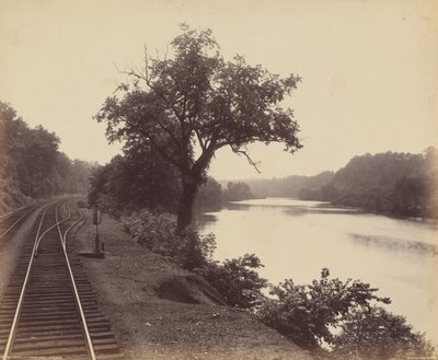  by William Herman Rau