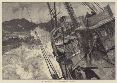 Biscay Körfezi