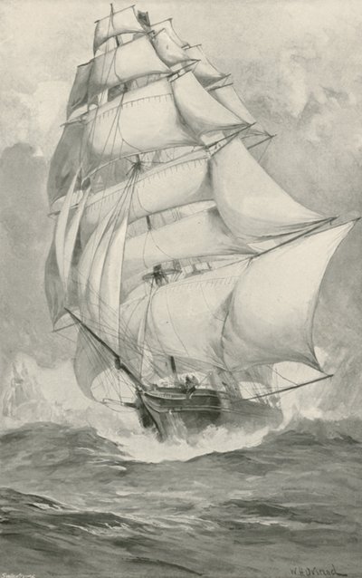 Çin