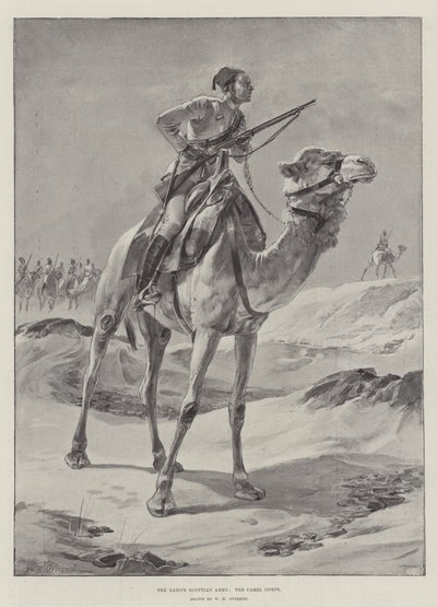 Yerli Mısır Ordusu, Deve Kolordusu by William Heysham Overend