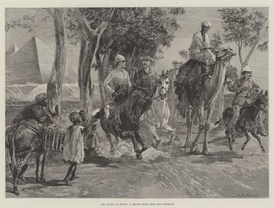 Mısır