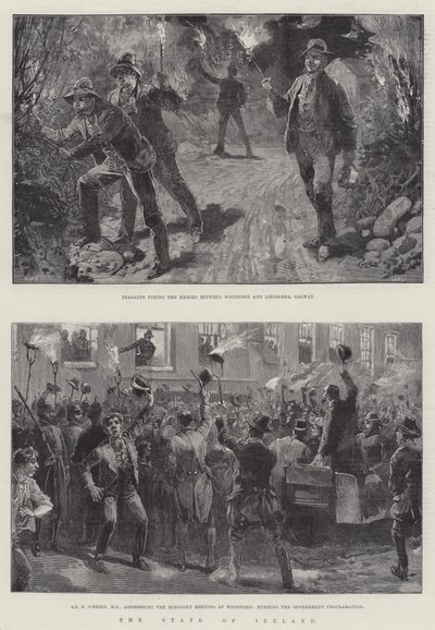 ಐರ್ಲೆಂಡ್ ರಾಜ್ಯ ಟರ್ಕಿ by William Heysham Overend