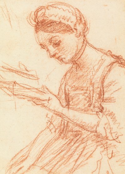 bir kitap ile genç bayan by William Hoare
