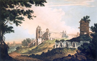 Pl. 12 
