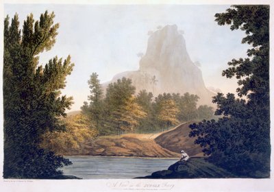 Orman Manzarası, 1788 (aquatint) by William Hodges